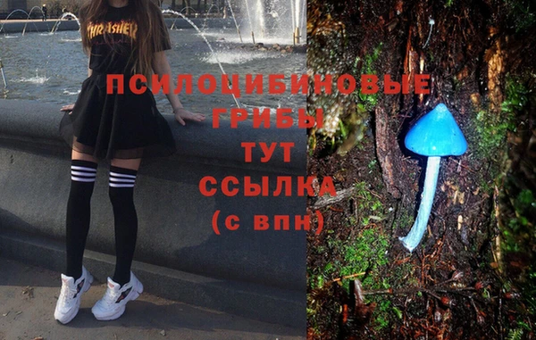 тгк Балахна