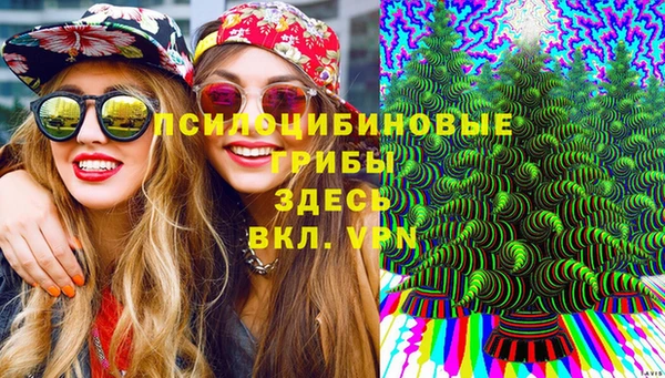 сатива Балабаново