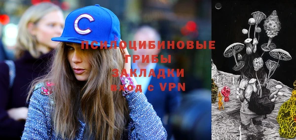 тгк Балахна