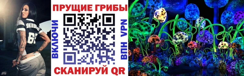 это наркотические препараты Власиха Псилоцибиновые грибы Magic Shrooms даркнет сайт
